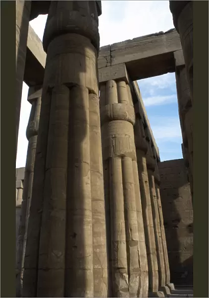 Temple of Luxor. Columns