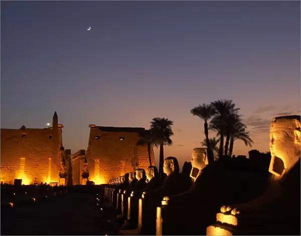 Temple of Luxor. Night view of the monumental entrance