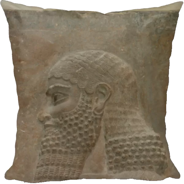 Assyrian Art. Reliefs from Sargon IIs Palace. Civil servan