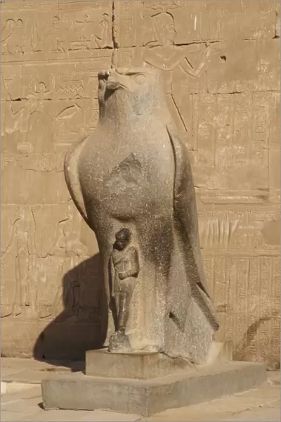 Horus. Egypt