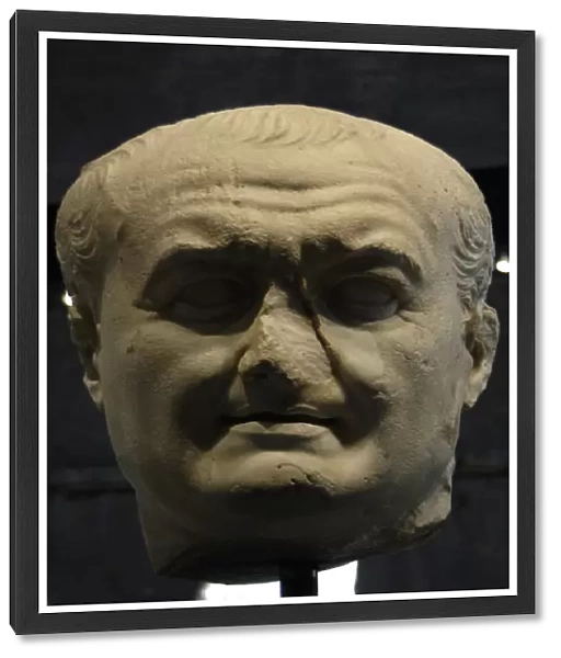 Vespasian (9-79). Roman Emperor. Colossal Head