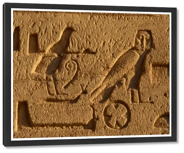 Egyptian Art. Hieroglyphs carved into the rock. Abu Simbel