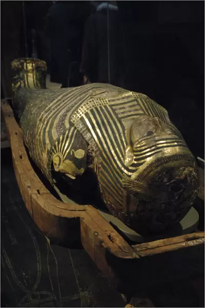 Mummy-case of Hornedjitef