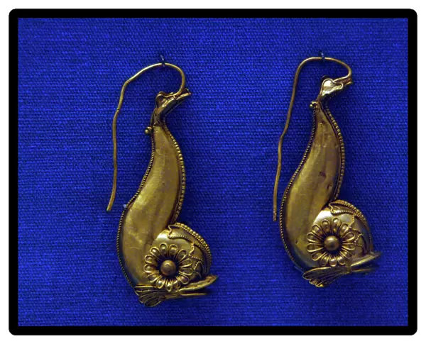 Golden earrings with shaped like a dolphin
