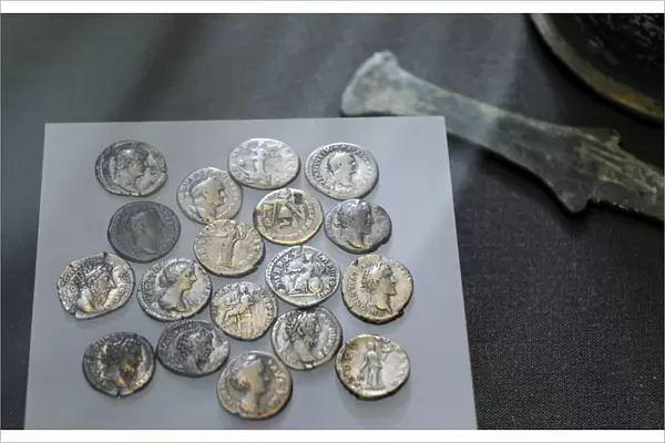 Roman silver denarius coins. From Nydan Bog. Ny Carlsberg Gl