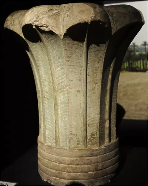 Capital of a palm column. Palace of Apries, Memphis. 598-568
