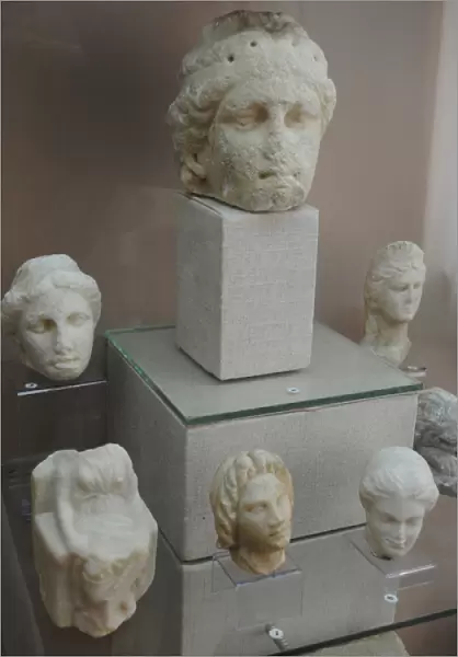 Group of womens heads