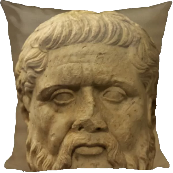 Head of greek philosopher Plato