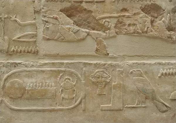 Hieroglyphics. Relief. From the Temple of Queen Hatshepsut