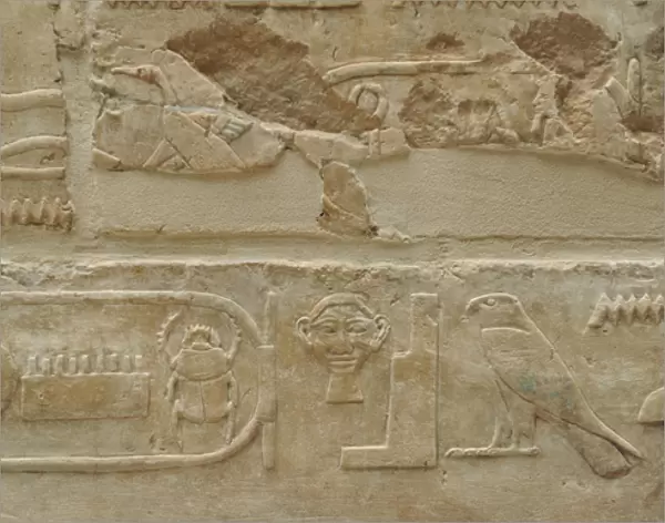 Hieroglyphics. Relief. From the Temple of Queen Hatshepsut