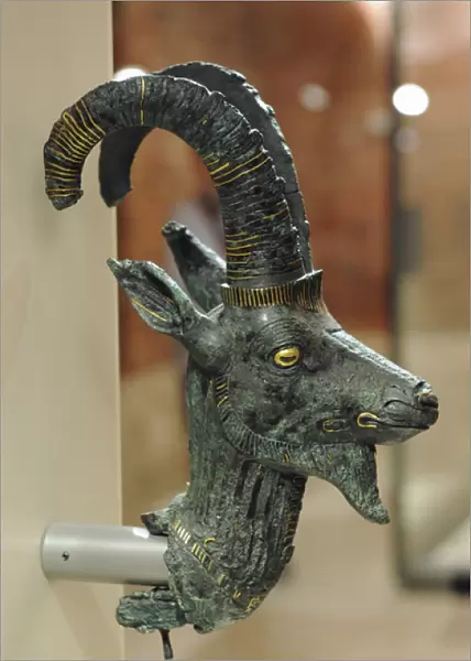 Head of an ibex. Dynasty 21. Egypt