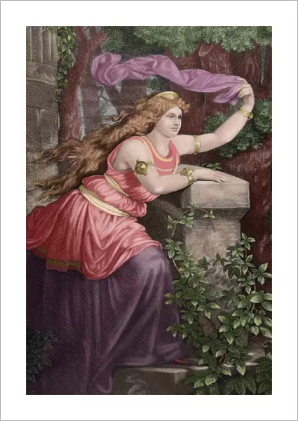 Iseult of Ireland. Engraving. Colored
