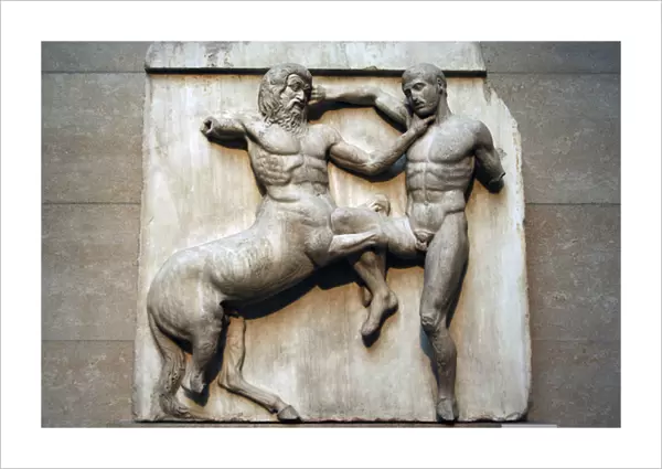 South metope XXXI. Parthenon marbles depicting part of the b