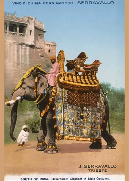 South Indian Elephant in full State garb
