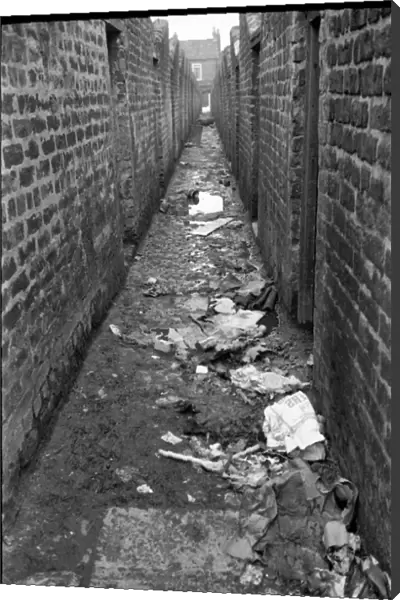 Back alley between slums, Belfast, Northern Ireland