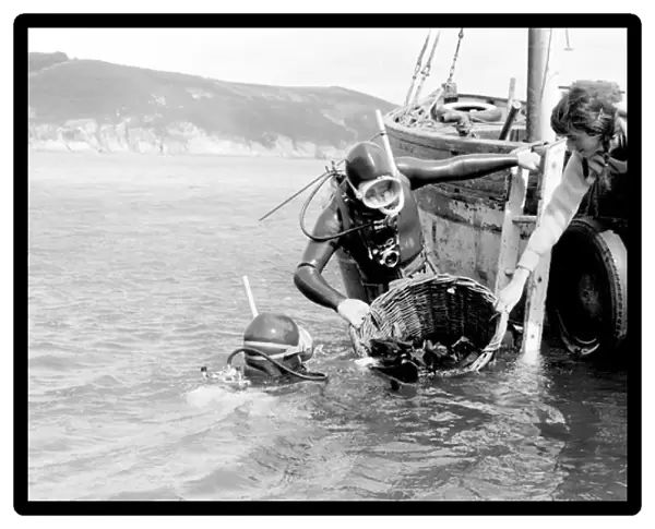 Tessyman family, seaweed farmers, Dartmouth, Devon