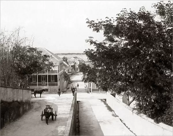 A sterrt in Nassau, Bahams, West Indes, circa 1900