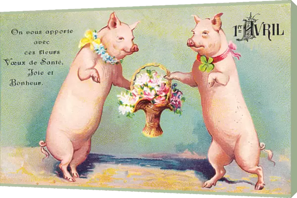 Two pigs on a French April Fool postcard