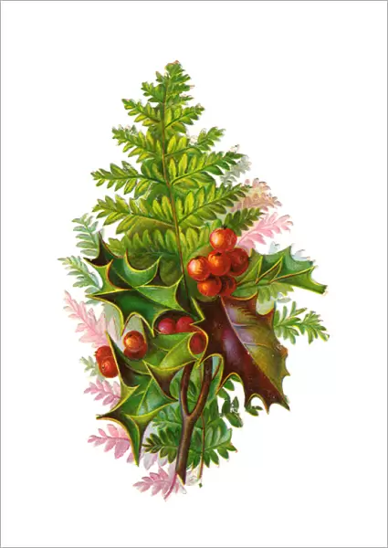 Holly and fern on a Victorian Christmas scrap