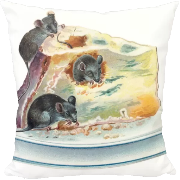 Three mice eating cheese on a cutout greetings card