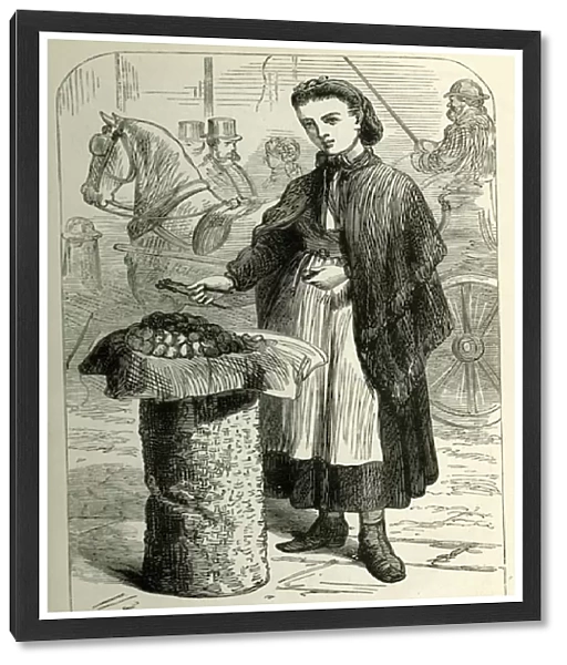 Occupations 1882 - young woman selling walnuts