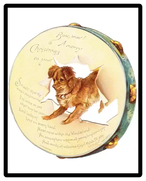 Dog on a tambourine-shaped Christmas card
