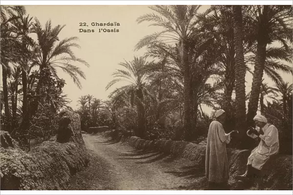 In the Oasis. Ghardaia, Algeria