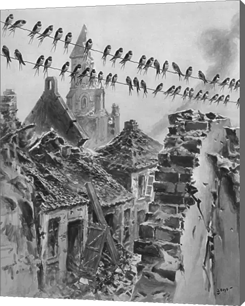 Swallows migrating amongst the ruins, WW1