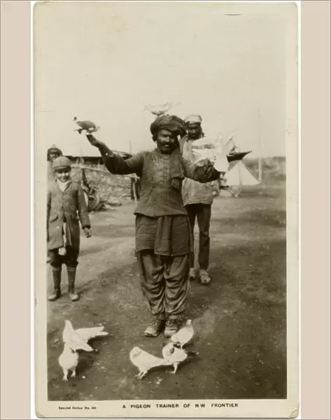 NWFP - A carrier pigeon Trainer