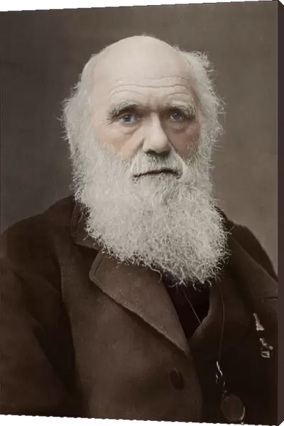 Charles Darwin - English Naturalist