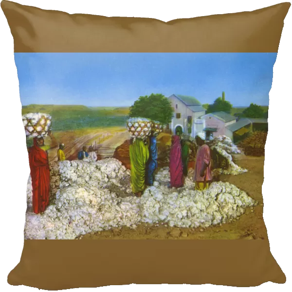 Commonwealth Instiute - Diorama - Cotton growing in India