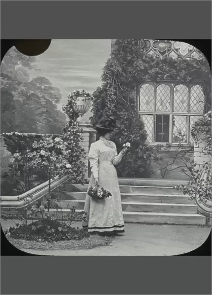 Elegant lady in a grand country garden picks roses