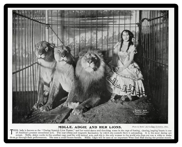 Adgie and her trained lions 1905
