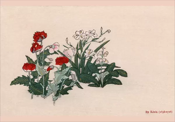 Variety of flowers by Ogata Korin