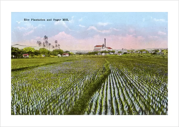 Honolulu, Hawaii, USA - Rice Plantation and Sugar Mill