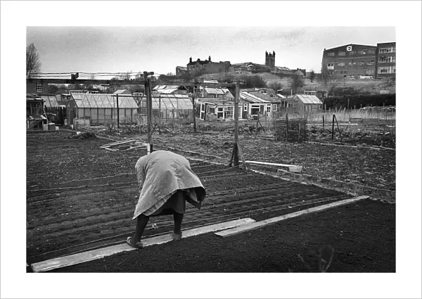 Woman on allotment - 2