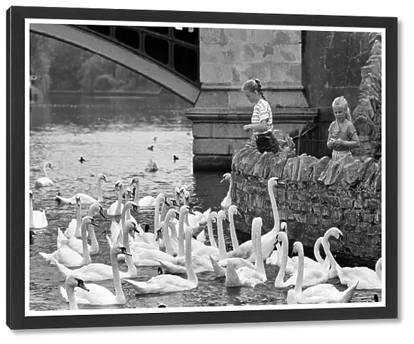 Girls with swans, River Thames, Windsor
