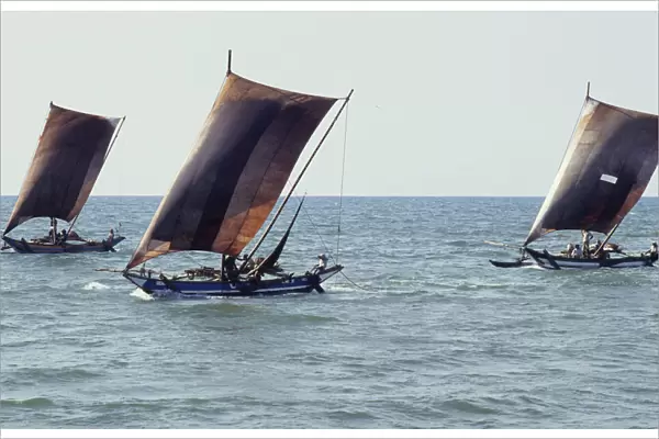 Sri Lankan outrigger boats - 1