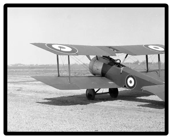 (Royal Naval Air Service) Sopwith Dove  /  Pup N5180