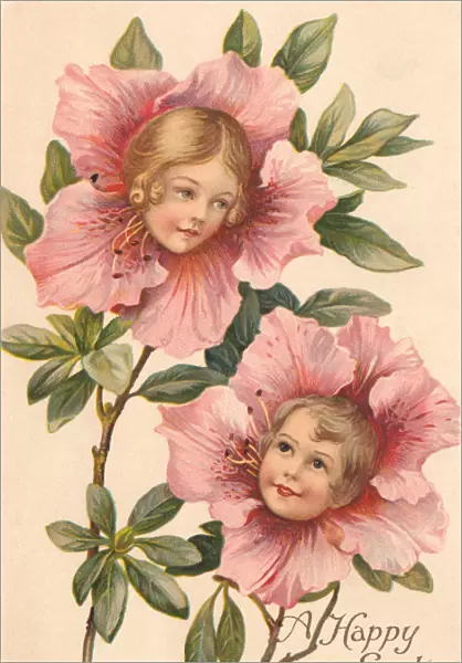 Camellia Flower Faces