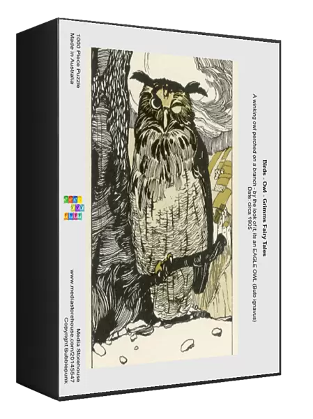 Birds - Owl - Grimms Fairy Tales