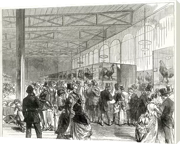 Poultry show at the Crystal Palace 1870