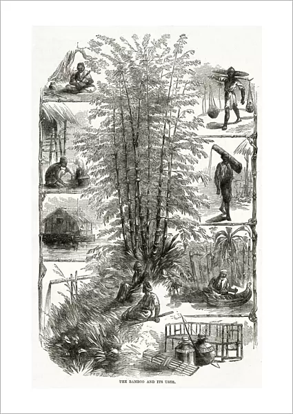 Bamboo and its uses in China 1867