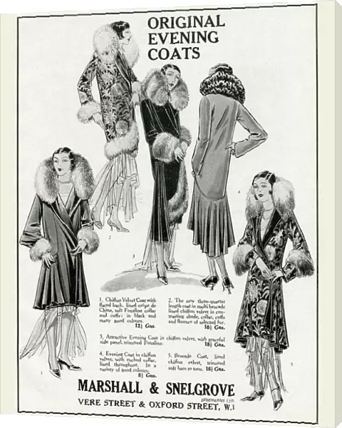 Advert for Marshall & Snelgrove evening coats 1929 Advert for Marshall & Snelgrove