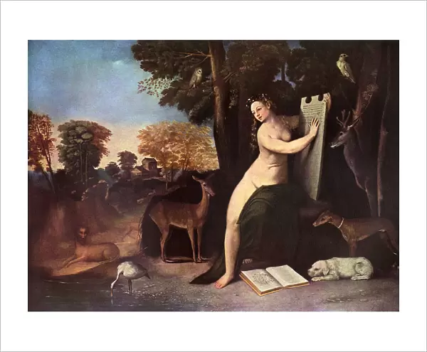Circe and Her Lovers in a Landscape by Dossi Dossi