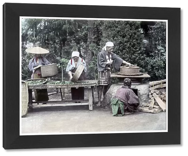 Processing Tea Japan circa 1880s. Date: circa 1880s