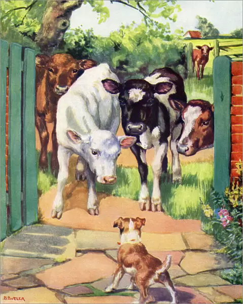 Cows and a dog