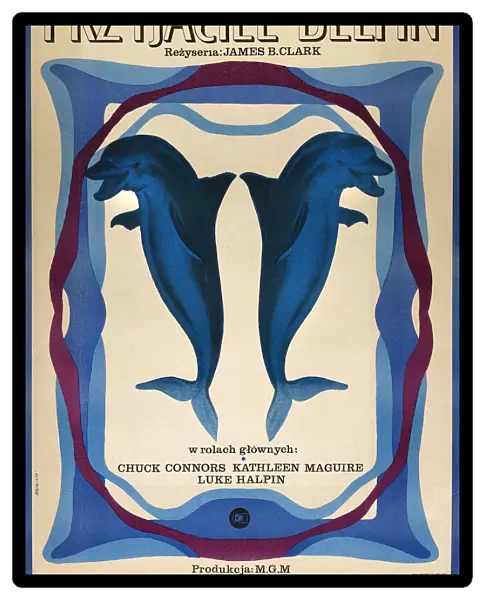 Polish poster for MGM film, Flipper