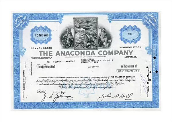 Stock Share Certificate - The Anaconda Company
