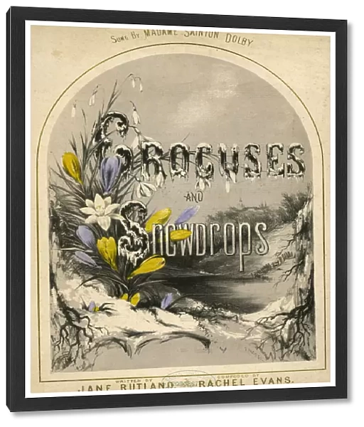 Music cover, Crocuses and Snowdrops